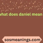 what does daniel mean