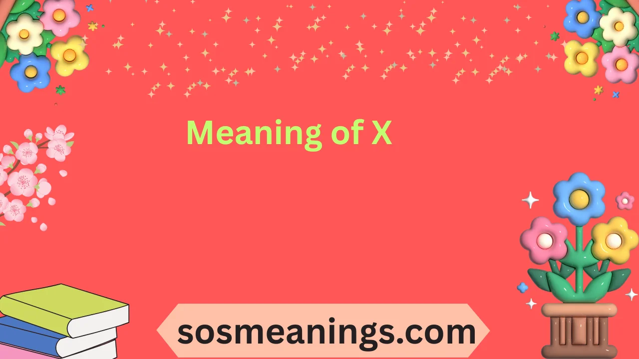 Meaning of X