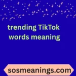 trending TikTok words meaning