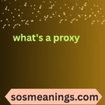 what's a proxy