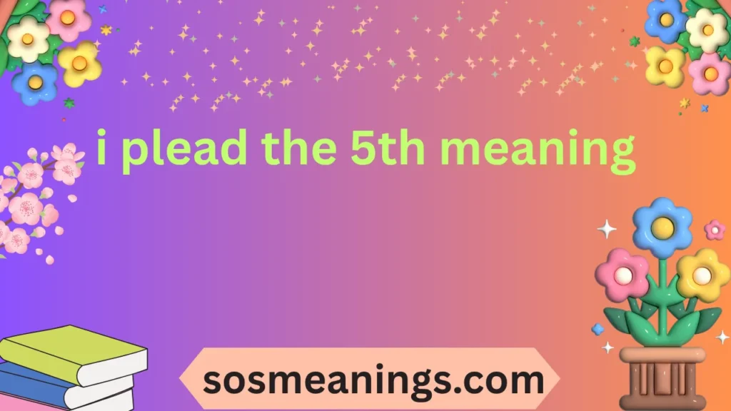 i plead the 5th meaning