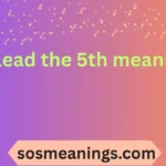 i plead the 5th meaning