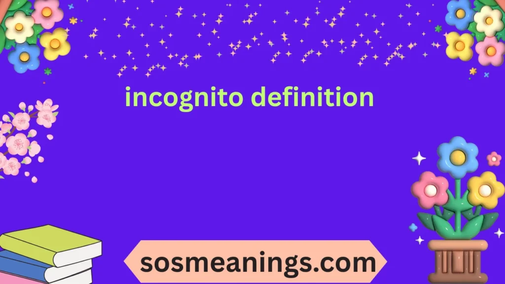 incognito definition