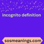 incognito definition