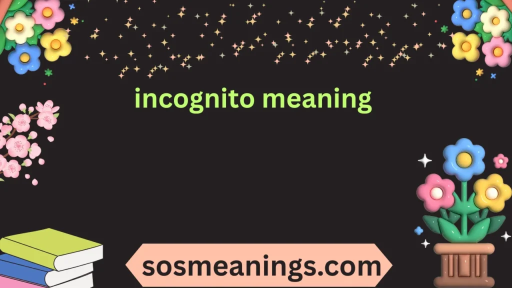 incognito meaning