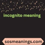 incognito meaning