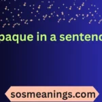 opaque in a sentence