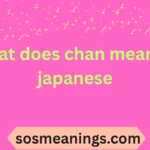 what does chan mean in japanese